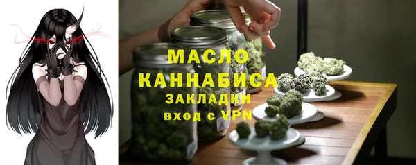 гидра Абаза