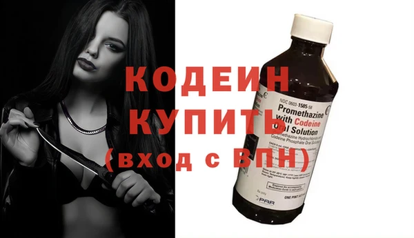 гидра Абаза