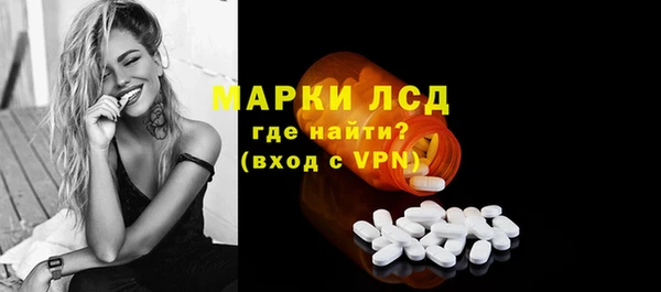 гидра Абаза