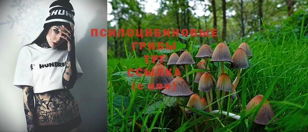 гидра Абаза