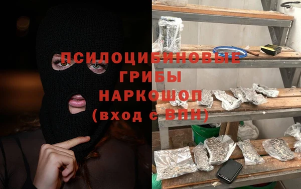 гидра Абаза
