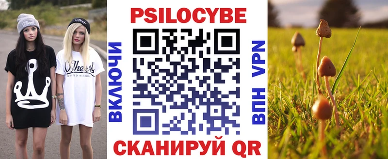 Псилоцибиновые грибы прущие грибы  купить наркоту  Ленинградская 